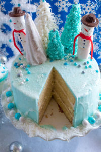 Winter Wonderland Cake ~ Recipe | Queenslee Appétit