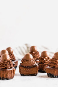 Mini Triple Chocolate Cheesecakes ~ Recipe | Queenslee Appétit