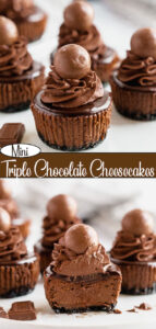 Mini Triple Chocolate Cheesecakes ~ Recipe | Queenslee Appétit