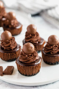 Mini Triple Chocolate Cheesecakes ~ Recipe | Queenslee Appétit