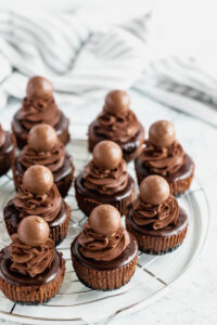 Mini Triple Chocolate Cheesecakes ~ Recipe | Queenslee Appétit