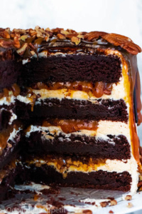 Turtle Chocolate Layer Cake ~ Recipe | Queenslee Appétit