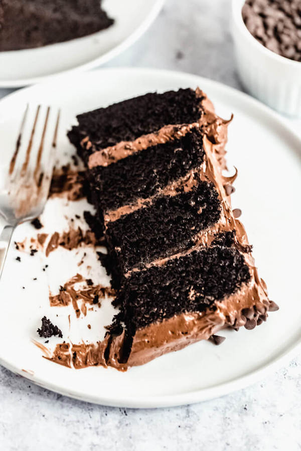 The BEST Chocolate Cake with Fudge Frosting | The Domestic Rebel
