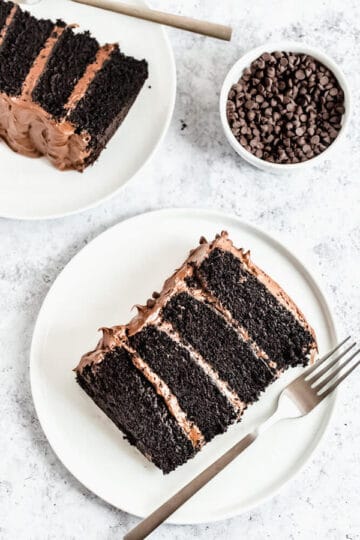 The Best Chocolate Cake with Fudge Frosting | Queenslee Appétit