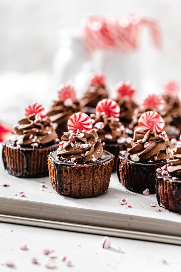 Mini Chocolate Peppermint Cheesecakes Queenslee Appétit